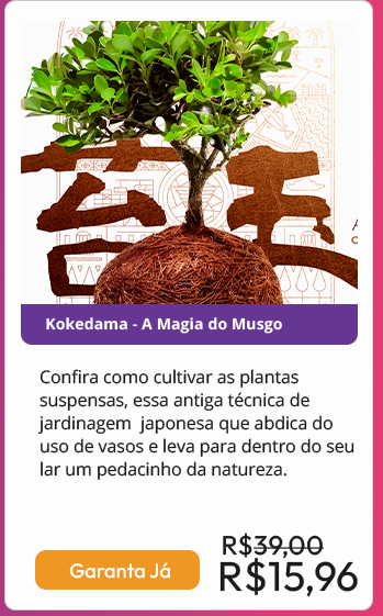 Confira como cultivar as plantas suspensas, essa antiga técnica de jardinagem  japonesa que abdica do uso de vasos e leva para dentro do seu lar um pedacinho da natureza.
